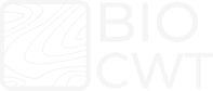 My logo